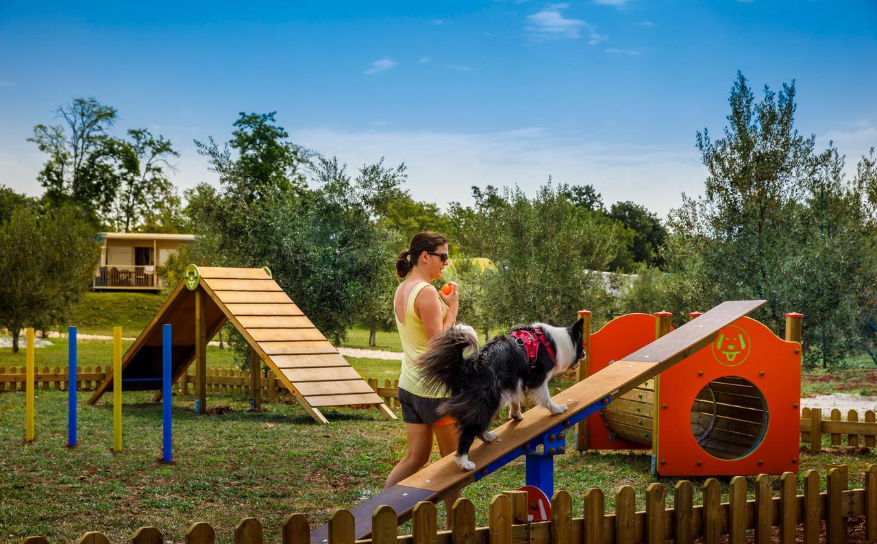 Aminess Maravea Camping Resort Holiday Homes Novigrad Istria Esterno foto