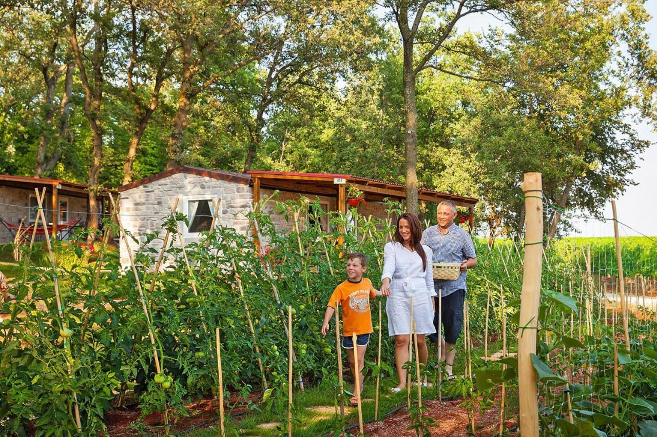 Aminess Maravea Camping Resort Holiday Homes Novigrad Istria Esterno foto